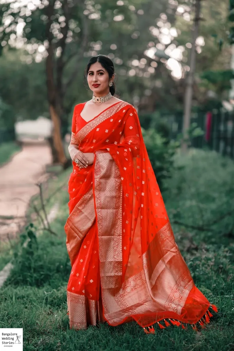 Organza (Kora) Banarasi Saree